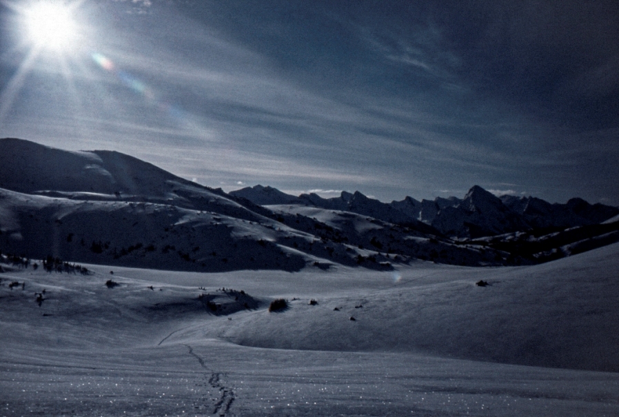 『雑食型登山家・細貝栄』